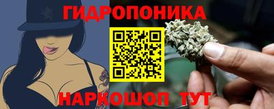 гидра Комсомольск-на-Амуре