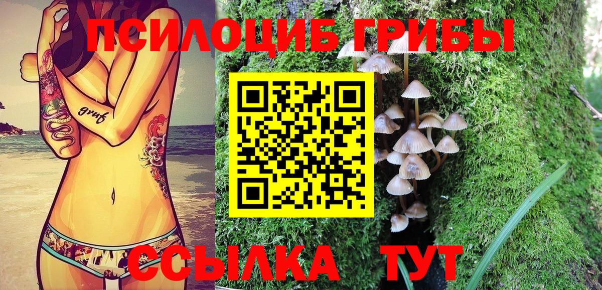 Галлюциногенные грибы прущие грибы Калининград